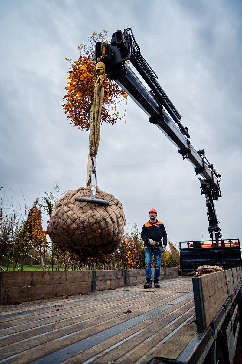 WilcoAvezaat-2 Van Boxtel Groep - Wilco Avezaat