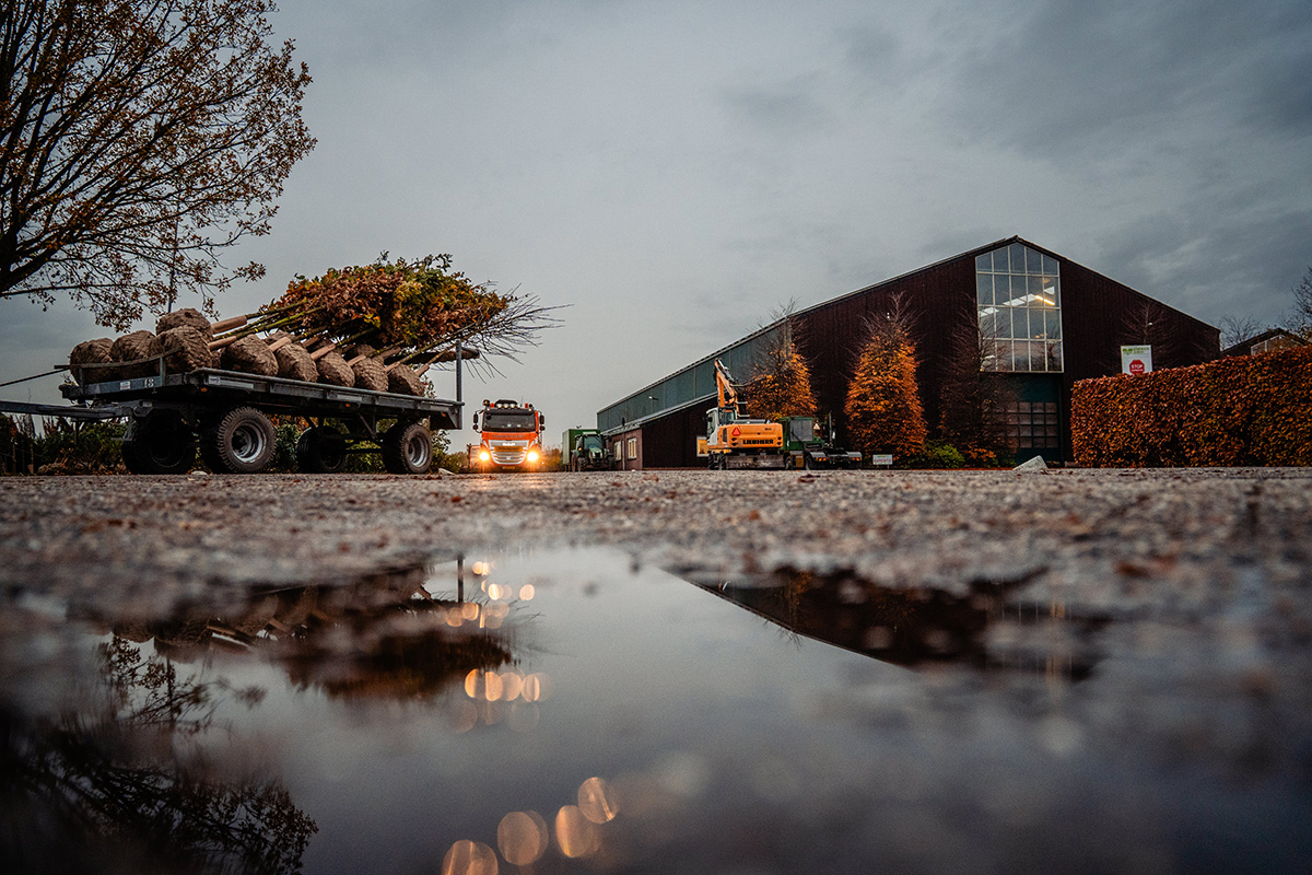 WilcoAvezaat-3 Van Boxtel Groep - Wilco Avezaat