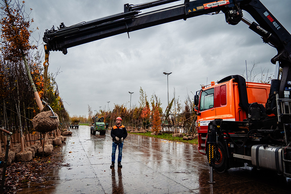 van Boxtel | Complement